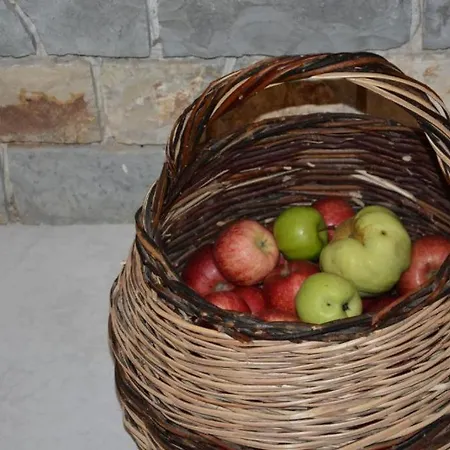 بيت ضيافة Guest House Qender Tomin